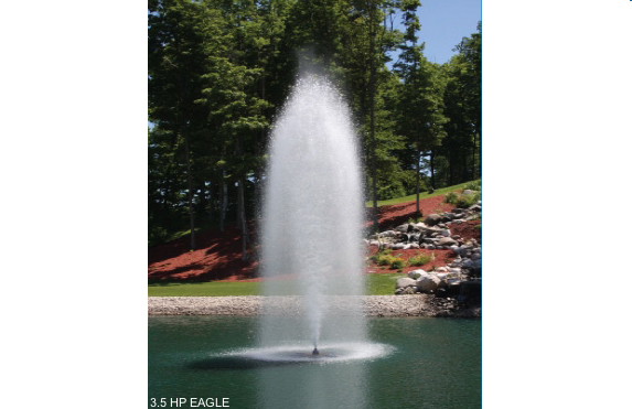 Eagle Aqua master